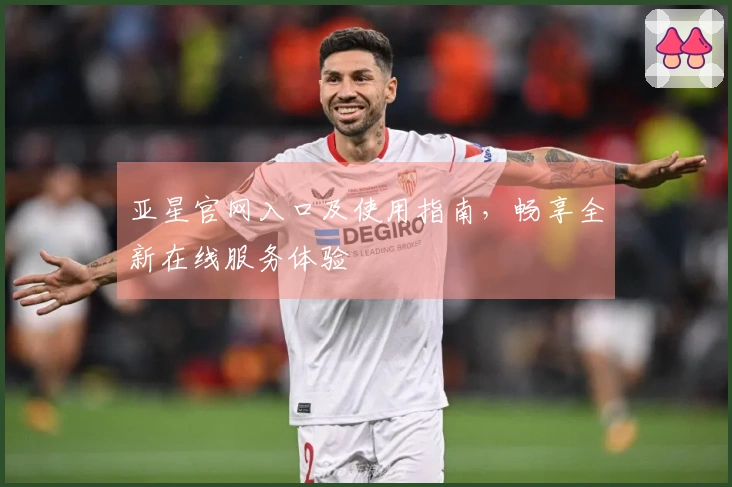 亚星官网入口及使用指南，畅享全新在线服务体验