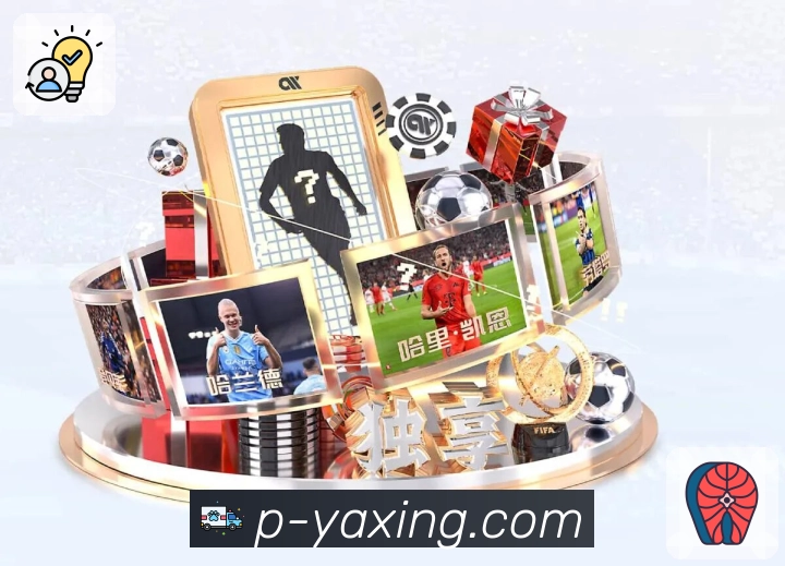 亚星官网APP 封面图